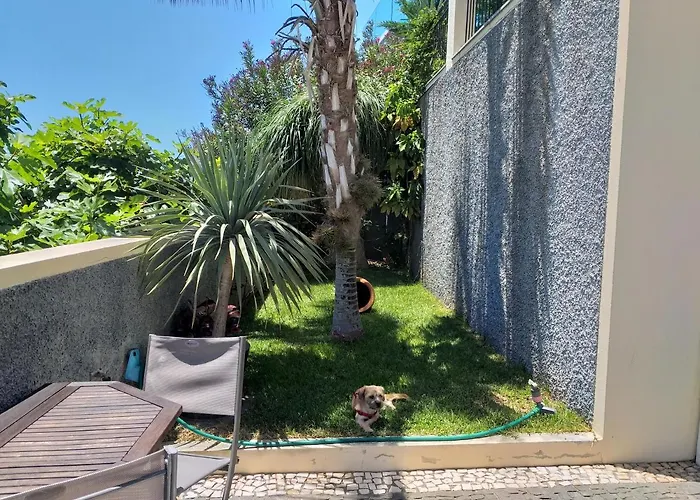 דירה Lena's Place *